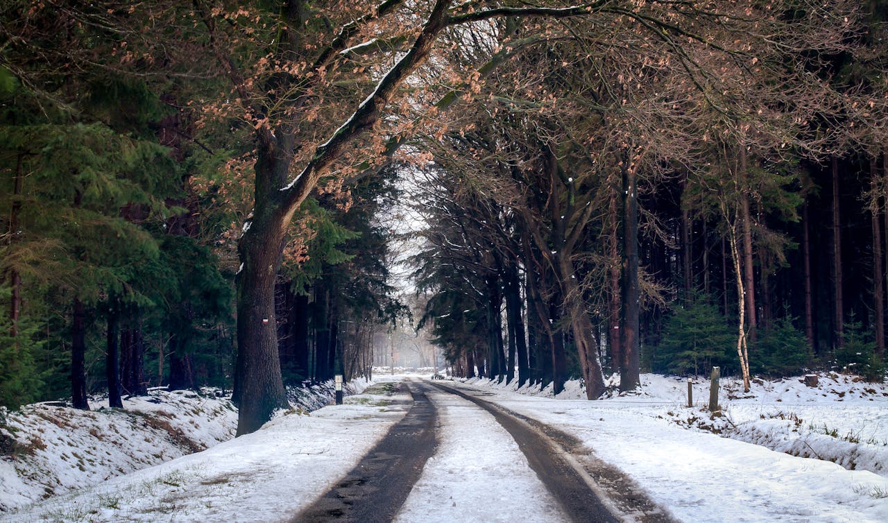 How to Prepare Your Generator for Winter